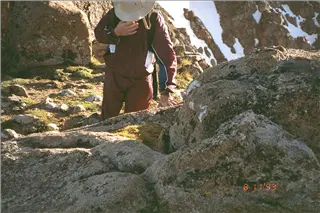 small_9400 1256 co maroon utIMG0013.webp